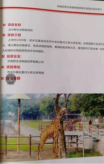 厲害了我的大濱州，15個招商引資項目集中簽約！